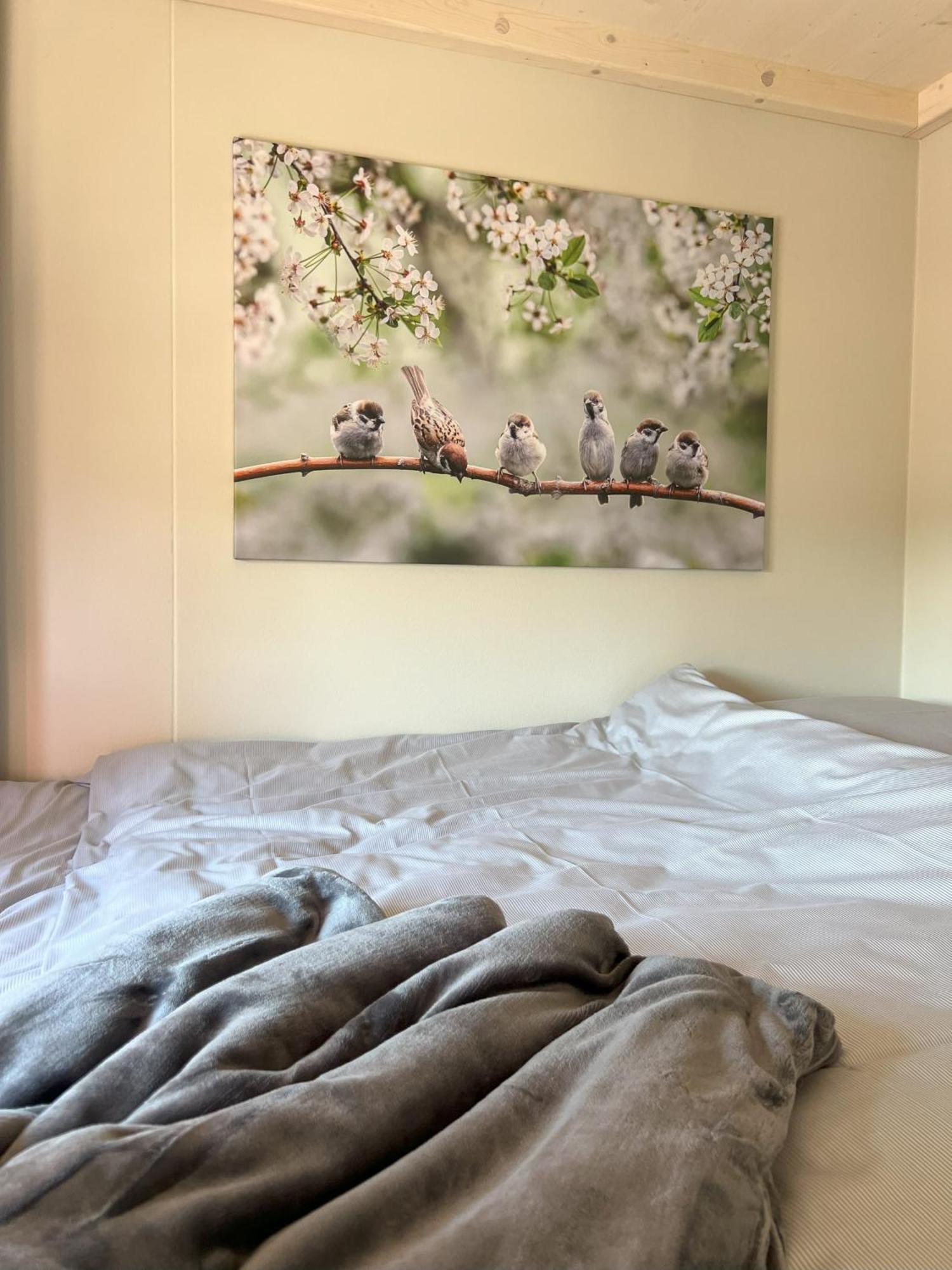 Tiny Haus Park Fritzlar Villa Екстериор снимка