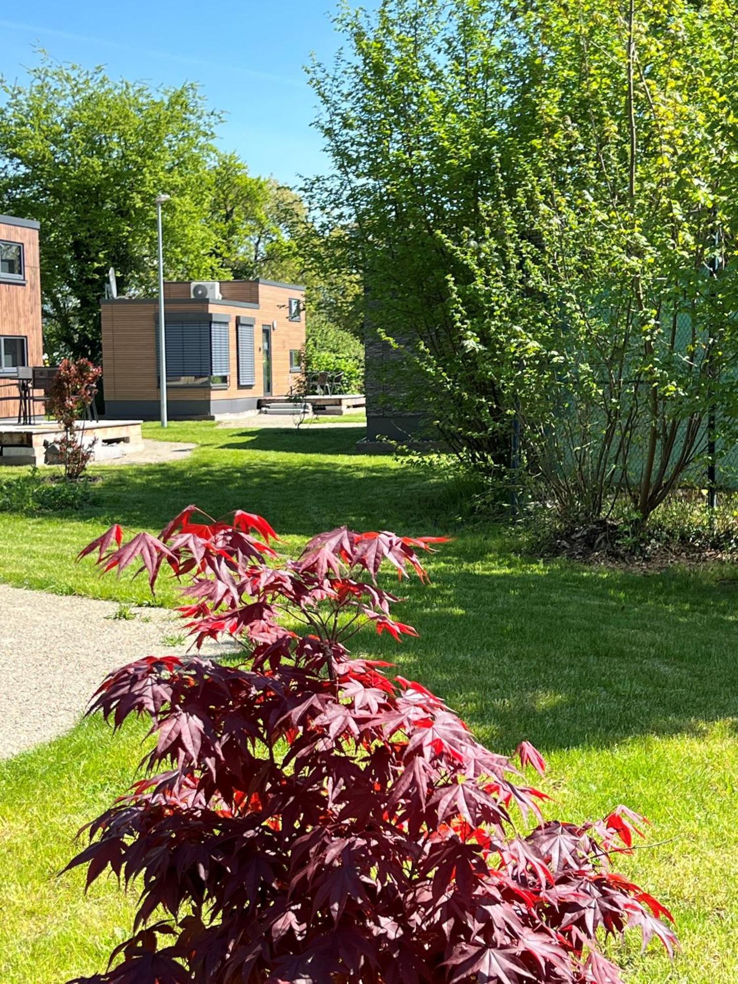 Tiny Haus Park Fritzlar Villa Екстериор снимка